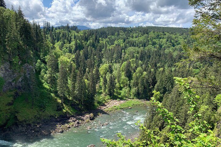 Randonnée guidée vers les chutes de Snoqualmie et les chutes jumelles au départ de Seattle, avec forêts et cascades, photo 7 | wizardtrip
