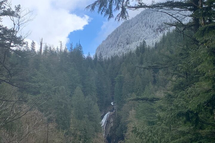 Randonnée guidée vers les chutes de Snoqualmie et les chutes jumelles au départ de Seattle, avec forêts et cascades, photo 11 | wizardtrip