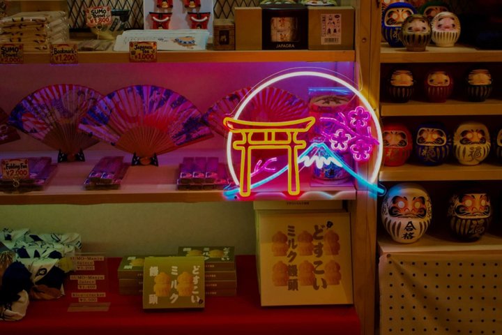 Opplev tradisjonell japansk sumobryting og kultur i Tokyo, foto 39 | wizardtrip