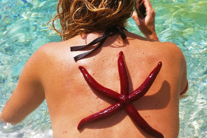 Kayak vers la Grotte Bleue secrète, avec déjeuner et fruits | wizardtrip