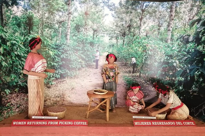 ATV-tur i Antigua, Guatemala som besøker en kaffeplantasje og utsiktspunktet El Cerro de la Cruz, foto 15 | wizardtrip