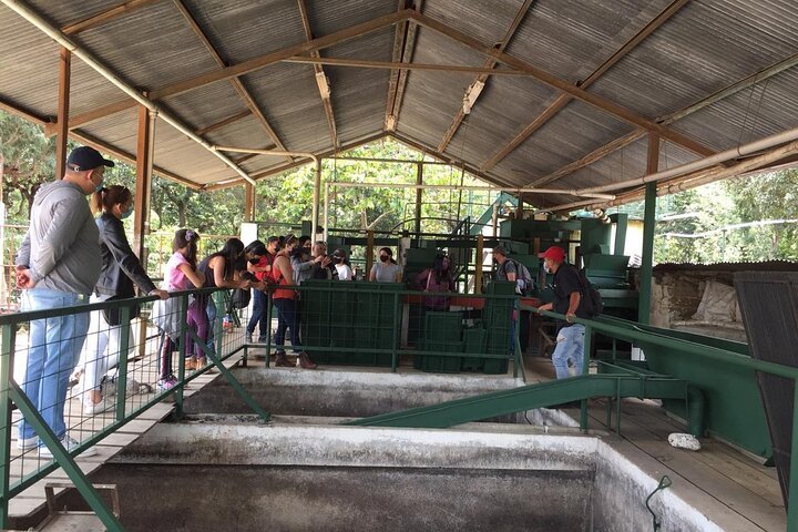 ATV-tur i Antigua, Guatemala som besøker en kaffeplantasje og utsiktspunktet El Cerro de la Cruz, foto 20 | wizardtrip
