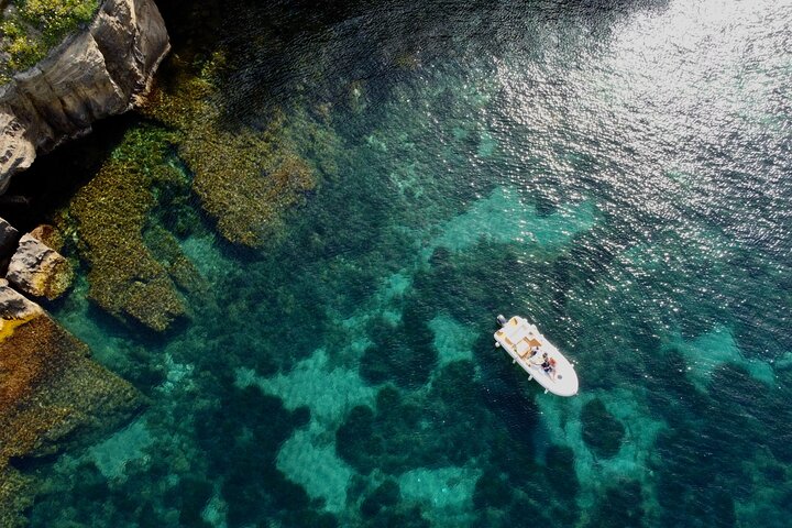Båttur rundt øya Procida med bading, snorkling og undervannsfotografering, foto 12 | wizardtrip