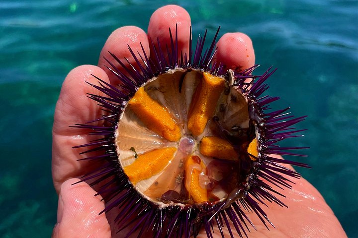 Båttur rundt øya Procida med bading, snorkling og undervannsfotografering, foto 15 | wizardtrip