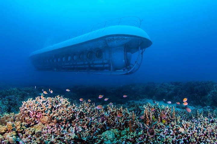 Big Island: Atlantis Ubådstur fra Kona | wizardtrip
