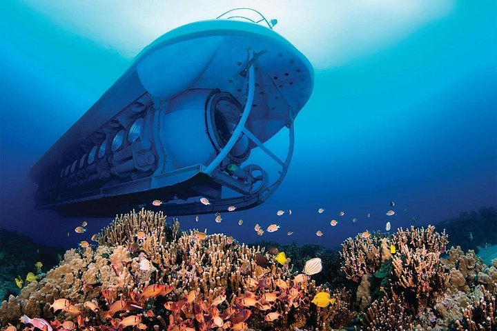 Atlantis submarine exploring vibrant coral reefs and marine life off the Kona coast, Big Island, Hawaii, photo 6 | wizardtrip