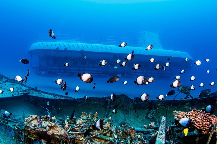 Atlantis submarine exploring vibrant coral reefs and marine life off the Kona coast, Big Island, Hawaii, photo 8 | wizardtrip