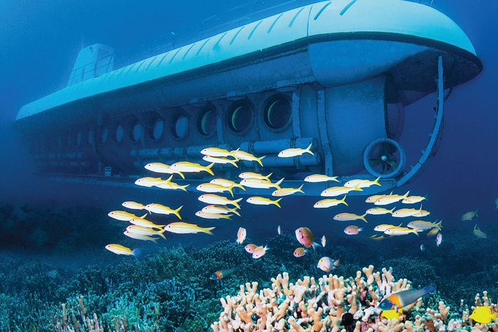 Atlantis submarine exploring vibrant coral reefs and marine life off the Kona coast, Big Island, Hawaii, photo 9 | wizardtrip