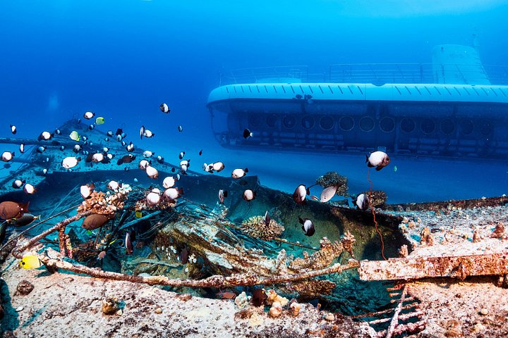 Atlantis submarine exploring vibrant coral reefs and marine life off the Kona coast, Big Island, Hawaii, photo 11 | wizardtrip