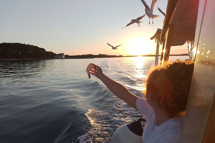 プーラ発の夜のボートツアー、イルカウォッチング、夕日、ブリユニ国立公園でのディナー、写真8 | wizardtrip