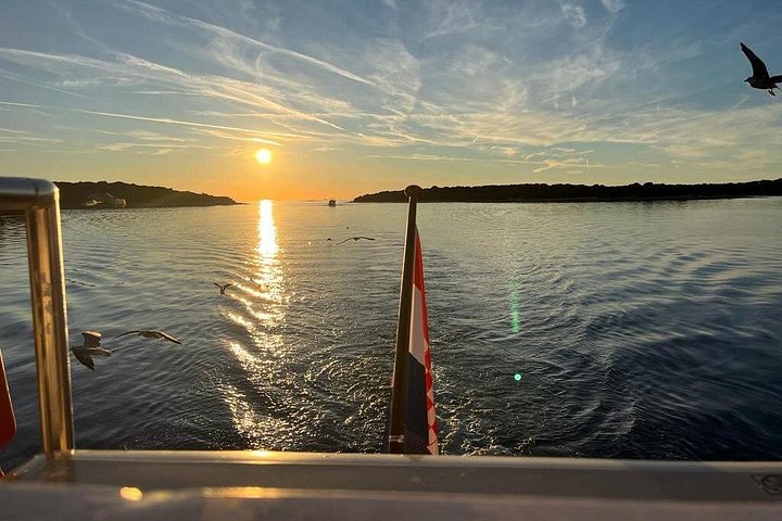 プーラ発の夜のボートツアー、イルカウォッチング、夕日、ブリユニ国立公園でのディナー、写真18 | wizardtrip