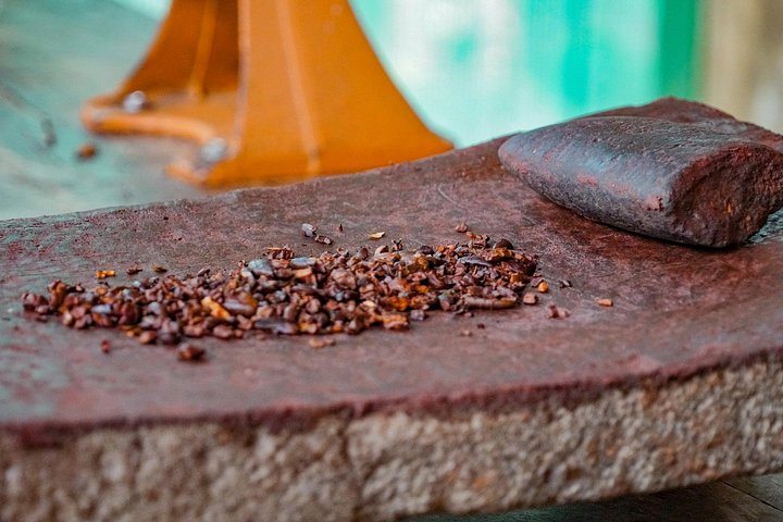 Turister lærer om produksjon av kaffe, sjokolade og sukkerrør i Monteverde, Costa Rica, foto 7 | wizardtrip