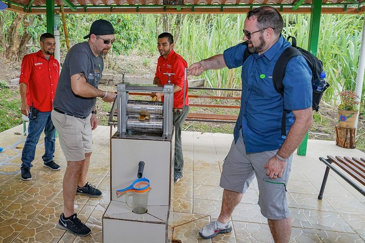 Turister lærer om produksjon av kaffe, sjokolade og sukkerrør i Monteverde, Costa Rica, foto 14 | wizardtrip