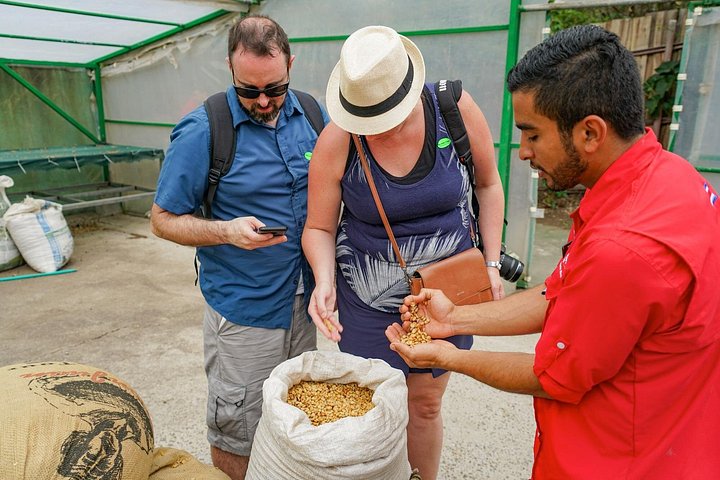 Turister lærer om produksjon av kaffe, sjokolade og sukkerrør i Monteverde, Costa Rica, foto 17 | wizardtrip