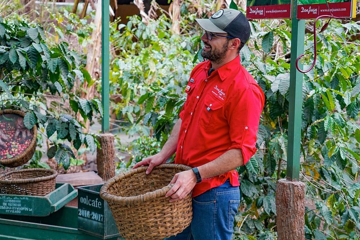 Turister lærer om produksjon av kaffe, sjokolade og sukkerrør i Monteverde, Costa Rica, foto 20 | wizardtrip