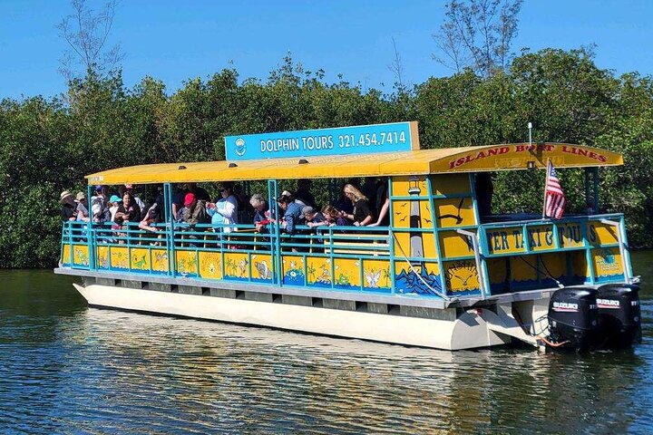 Excursion nature et faune à travers les îles de mangrove de Cocoa Beach, Floride, photo 9 | wizardtrip