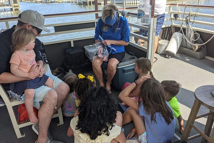 Excursion nature et faune à travers les îles de mangrove de Cocoa Beach, Floride, photo 14 | wizardtrip
