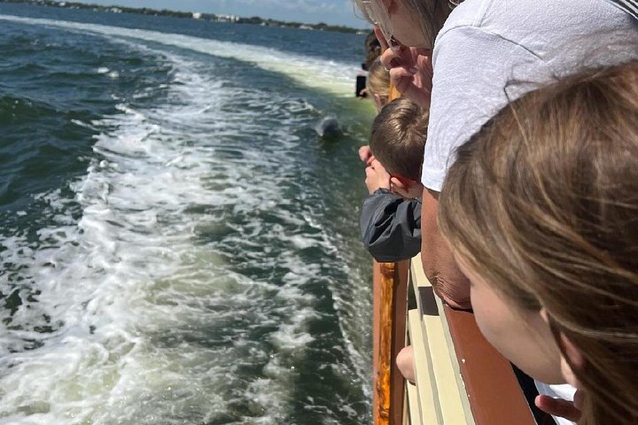 Excursion nature et faune à travers les îles de mangrove de Cocoa Beach, Floride, photo 22 | wizardtrip