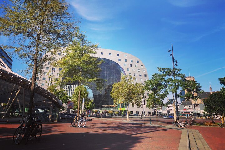 Kleingruppentour nach Rotterdam, Delft und Den Haag ab Amsterdam, die niederländische Kultur und Architektur zeigt, Foto 9 | wizardtrip