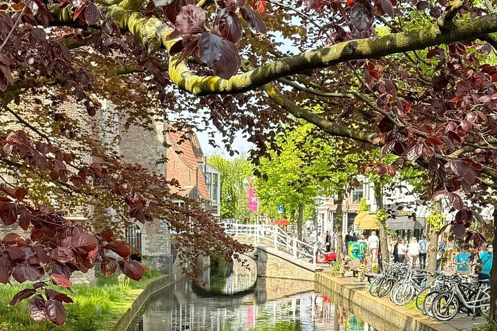 Kleingruppentour nach Rotterdam, Delft und Den Haag ab Amsterdam, die niederländische Kultur und Architektur zeigt, Foto 29 | wizardtrip