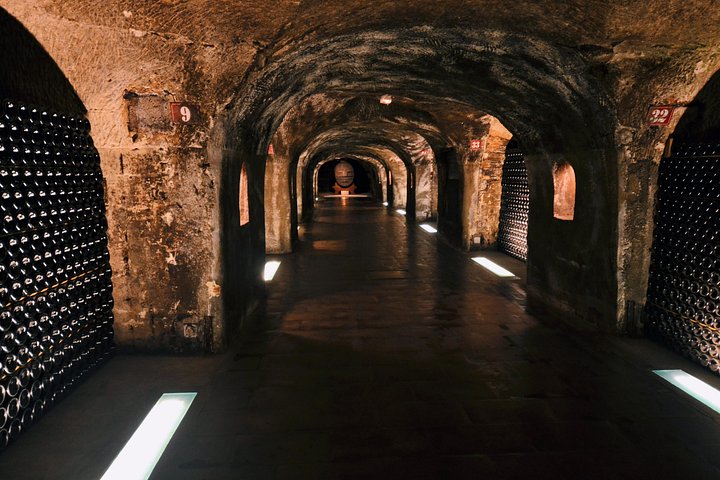 Champagneprovning och vingårdsbesök från Paris med expertguide och lunch, foto 12 | wizardtrip