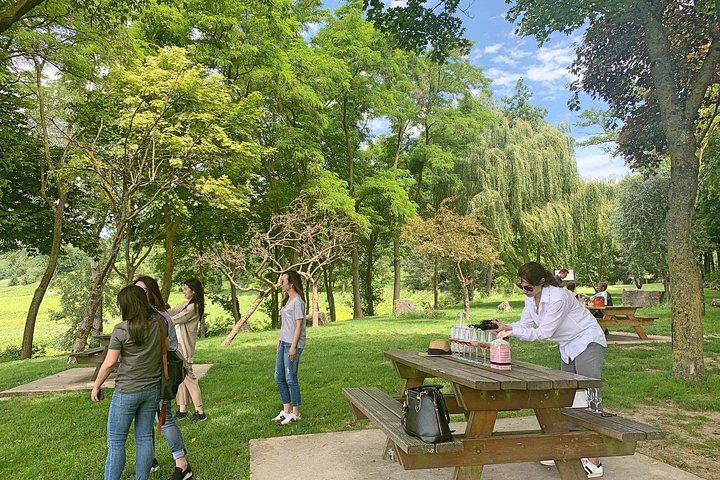 Champagneprovning och vingårdsbesök från Paris med expertguide och lunch, foto 13 | wizardtrip