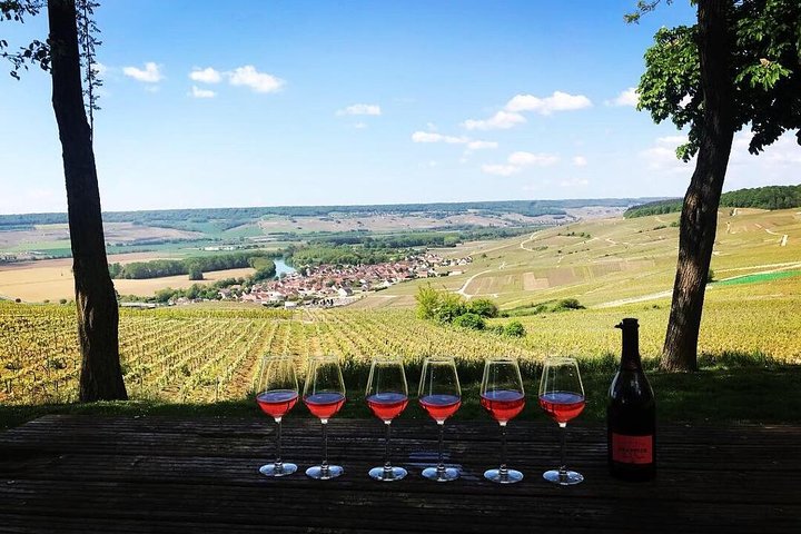 Champagneprovning och vingårdsbesök från Paris med expertguide och lunch, foto 15 | wizardtrip