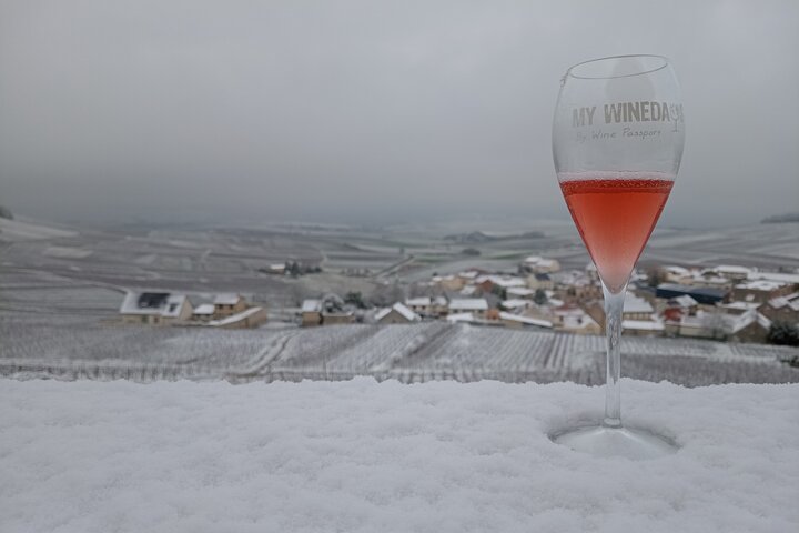 Champagneprovning och vingårdsbesök från Paris med expertguide och lunch, foto 16 | wizardtrip