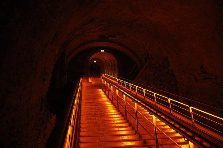 Champagneprovning och vingårdsbesök från Paris med expertguide och lunch, foto 19 | wizardtrip