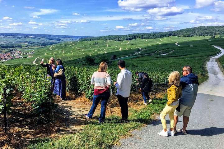 Champagneprovning och vingårdsbesök från Paris med expertguide och lunch, foto 20 | wizardtrip