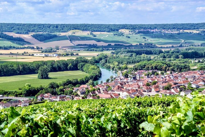 Champagneprovning och vingårdsbesök från Paris med expertguide och lunch, foto 23 | wizardtrip