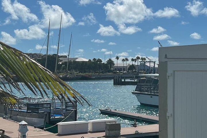 Bermuda ö-tur i en helt rosa buss, besök på stränder, Hamilton och St. George, foto 6 | wizardtrip