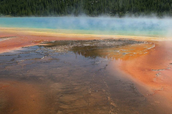 Heldagstur i Yellowstone og Grand Teton nasjonalparker fra Jackson, med geysirer, fossefall og dyreliv, foto 7 | wizardtrip