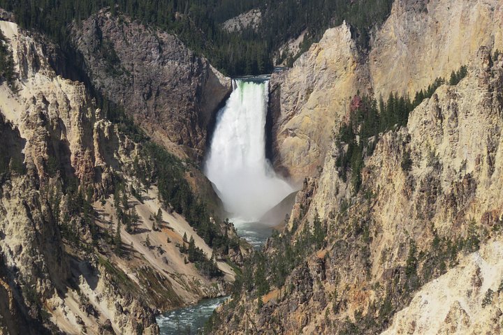 Heldagstur i Yellowstone og Grand Teton nasjonalparker fra Jackson, med geysirer, fossefall og dyreliv, foto 12 | wizardtrip