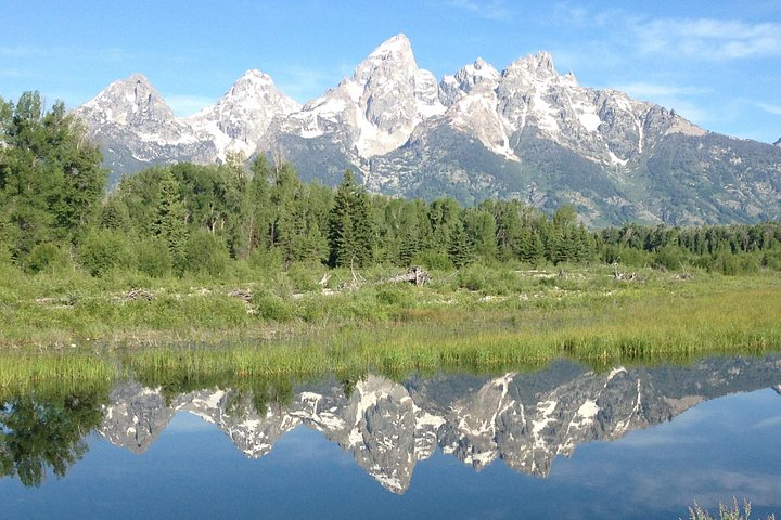 Heldagstur i Yellowstone og Grand Teton nasjonalparker fra Jackson, med geysirer, fossefall og dyreliv, foto 16 | wizardtrip
