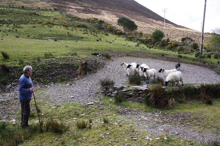 Malerische Ring of Kerry Tour mit Seen, Bergen und Dörfern in Killarney, Irland, Foto 11 | wizardtrip