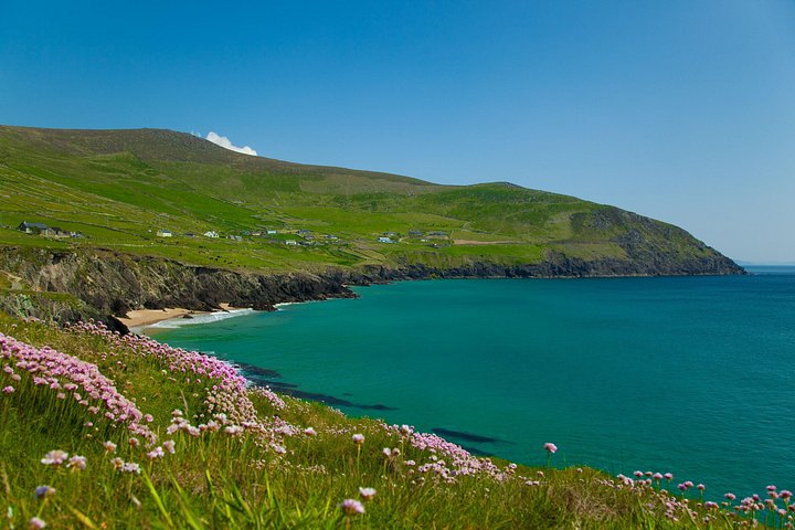 Naturskjønn utsikt over Dingle-halvøya, Slea Head Drive og Inch Beach i Killarney, Irland, foto 16 | wizardtrip