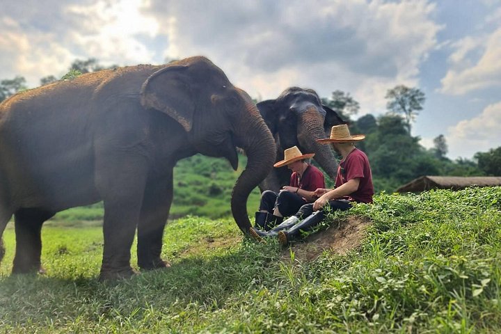 Bezoek aan een ethisch olifantenopvangcentrum in Chiang Mai, Thailand, met geredde olifanten, foto 6 | wizardtrip
