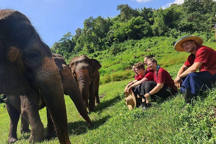 Bezoek aan een ethisch olifantenopvangcentrum in Chiang Mai, Thailand, met geredde olifanten, foto 7 | wizardtrip