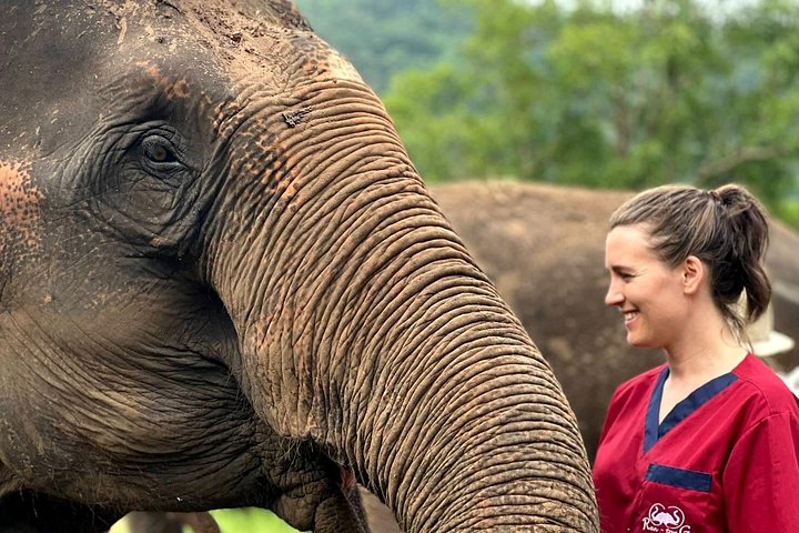 Bezoek aan een ethisch olifantenopvangcentrum in Chiang Mai, Thailand, met geredde olifanten, foto 11 | wizardtrip