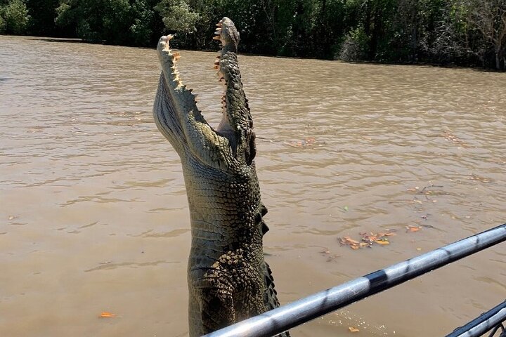 The Croc Bus to the Famous Jumping Crocodile Cruise | wizardtrip