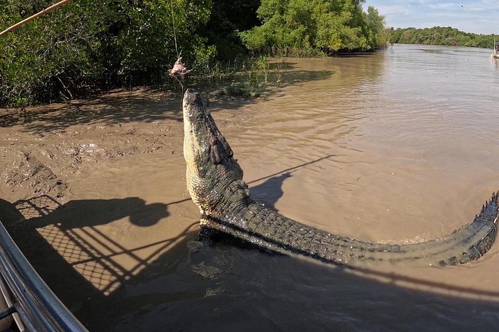 Springkrokodil-Kreuzfahrt und Wildtiertour in Darwin, Australien, Foto 6 | wizardtrip