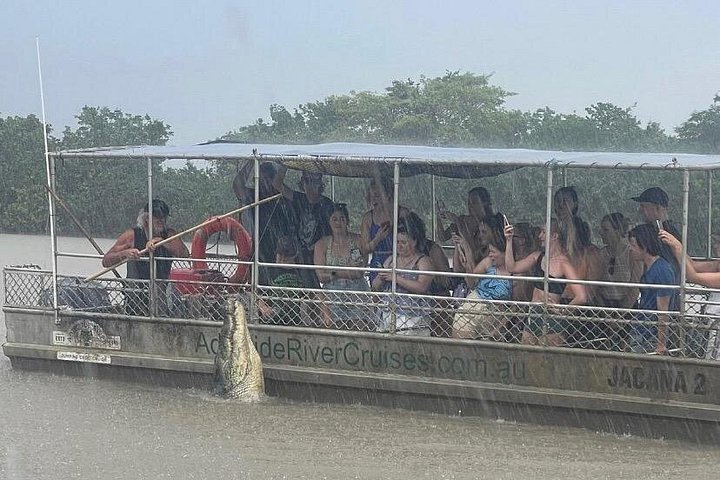Springkrokodil-Kreuzfahrt und Wildtiertour in Darwin, Australien, Foto 7 | wizardtrip
