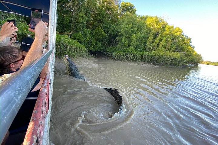 Springkrokodil-Kreuzfahrt und Wildtiertour in Darwin, Australien, Foto 8 | wizardtrip