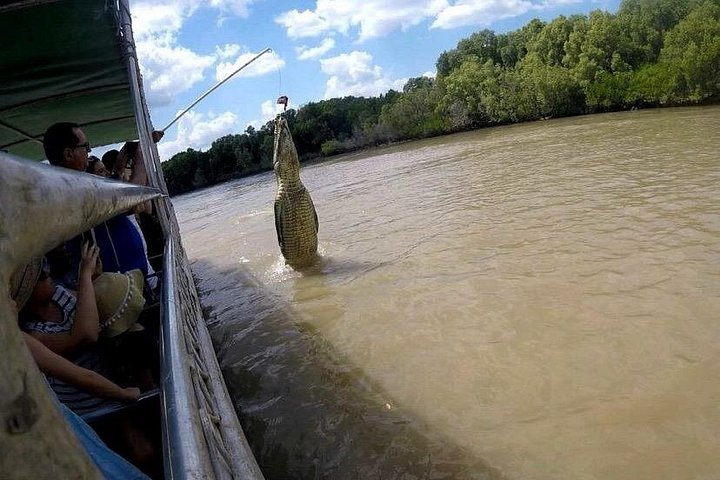 Springkrokodil-Kreuzfahrt und Wildtiertour in Darwin, Australien, Foto 12 | wizardtrip
