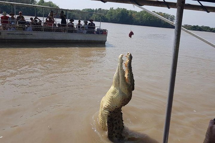 Springkrokodil-Kreuzfahrt und Wildtiertour in Darwin, Australien, Foto 14 | wizardtrip