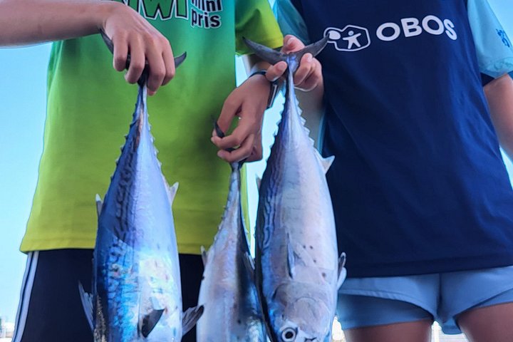 Excursión en barco de pesca tradicional en Rodas, Grecia, con pesca, natación y barbacoa a bordo, foto 48 | wizardtrip