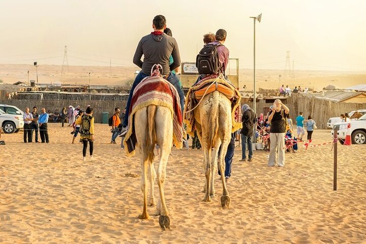 Ökensafariäventyr i Doha med dune bashing, kamelridning och sandboarding, foto 10 | wizardtrip