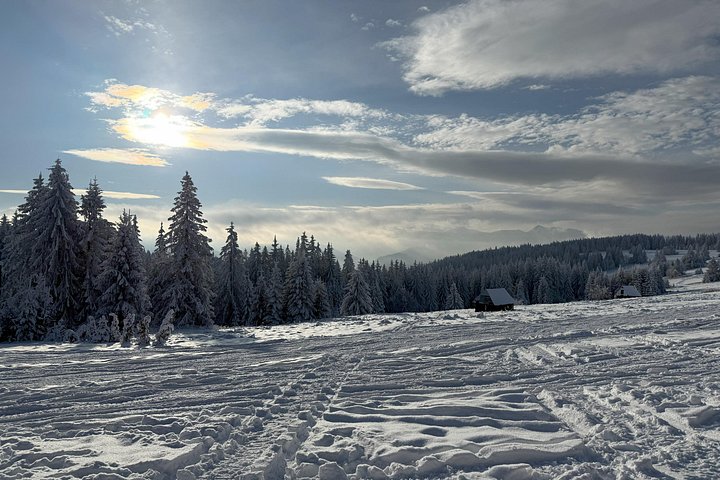 Excursion d'une journée en motoneige et thermes à Zakopane depuis Cracovie, photo 32 | wizardtrip