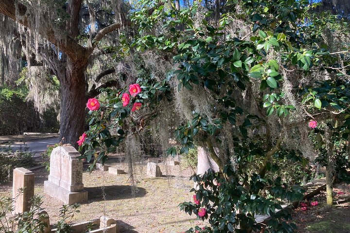 Tour guiado de carrinho de golfe pelo histórico e belo Cemitério Bonaventure em Savannah, foto 7 | wizardtrip